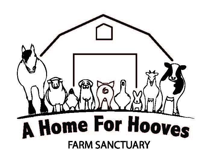 A Home for Hooves